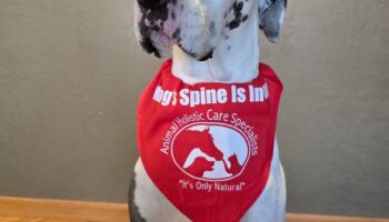 Elka Serving Wisconsin