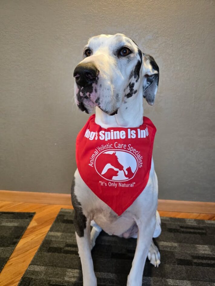 Elka Serving Wisconsin